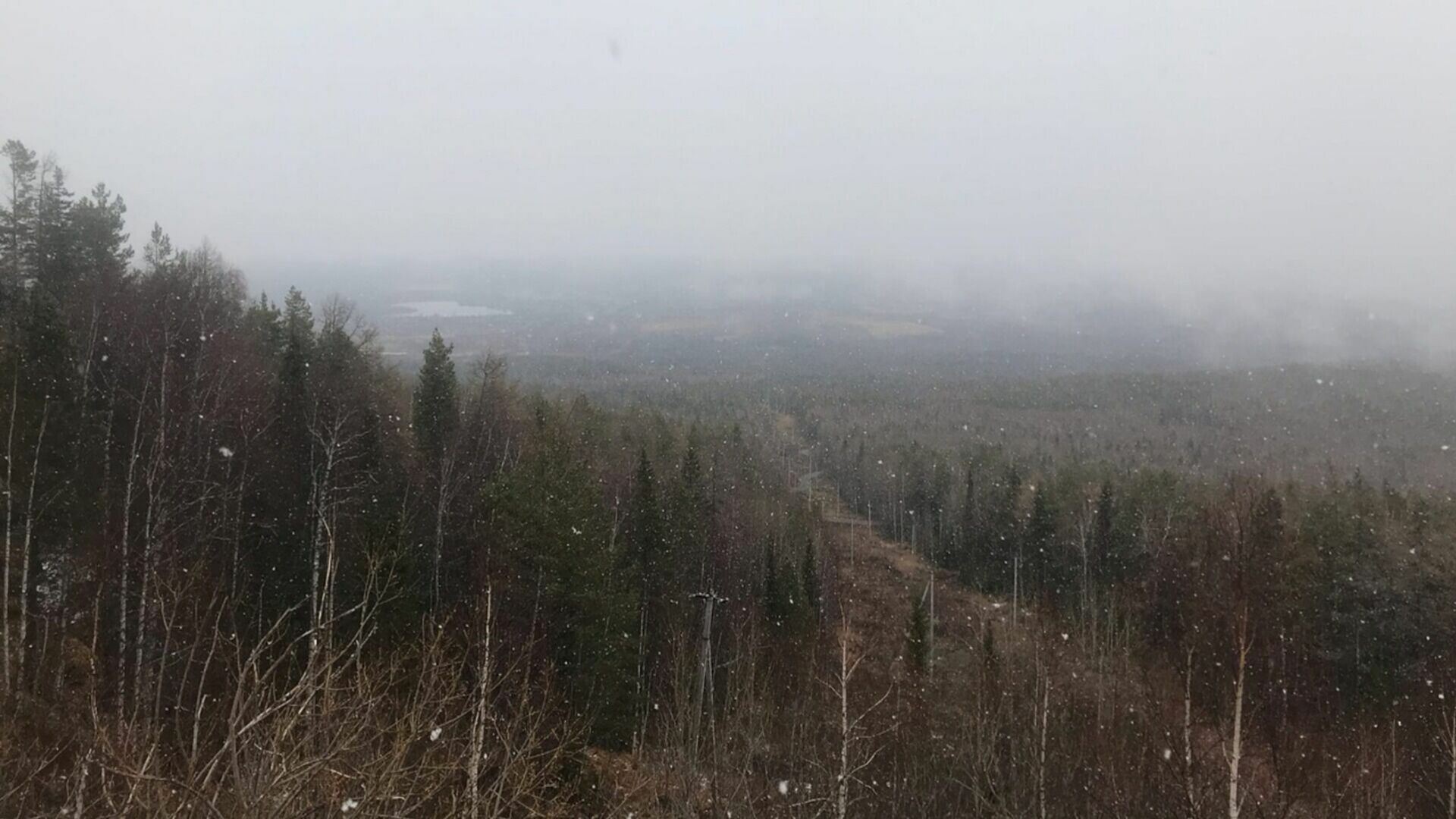 Свердловскую область накрыло дымом из-за пожаров