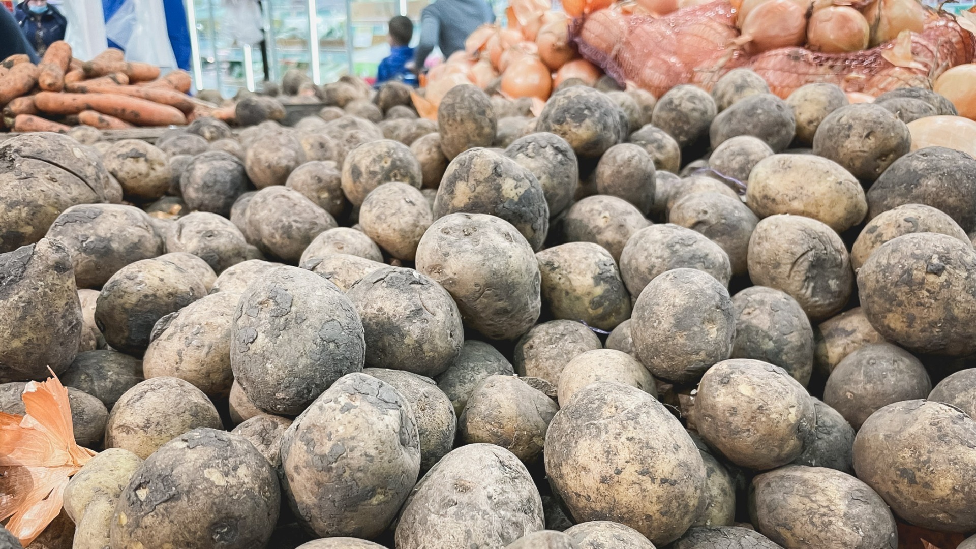 На 10% подорожала за неделю картошка в Свердловской области