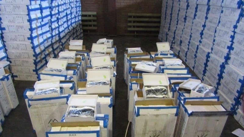 На таможне в Екатеринбурге выявили 384 пары нелегальных кроссовок из КНР