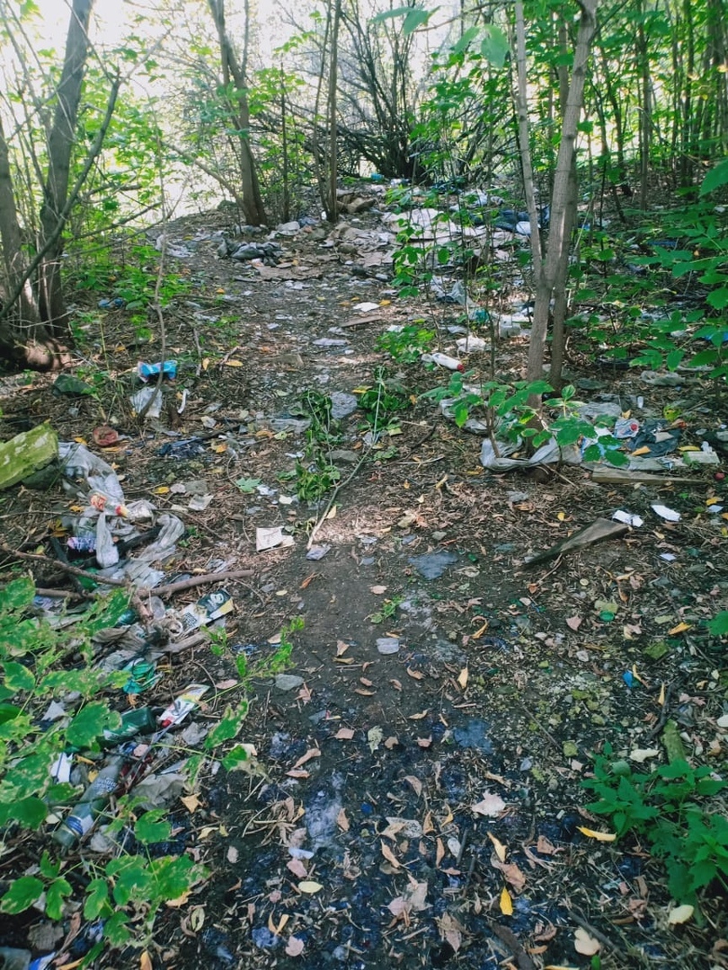 В Нижнем Тагиле пройдет экологический субботник с раздельным сбором мусора