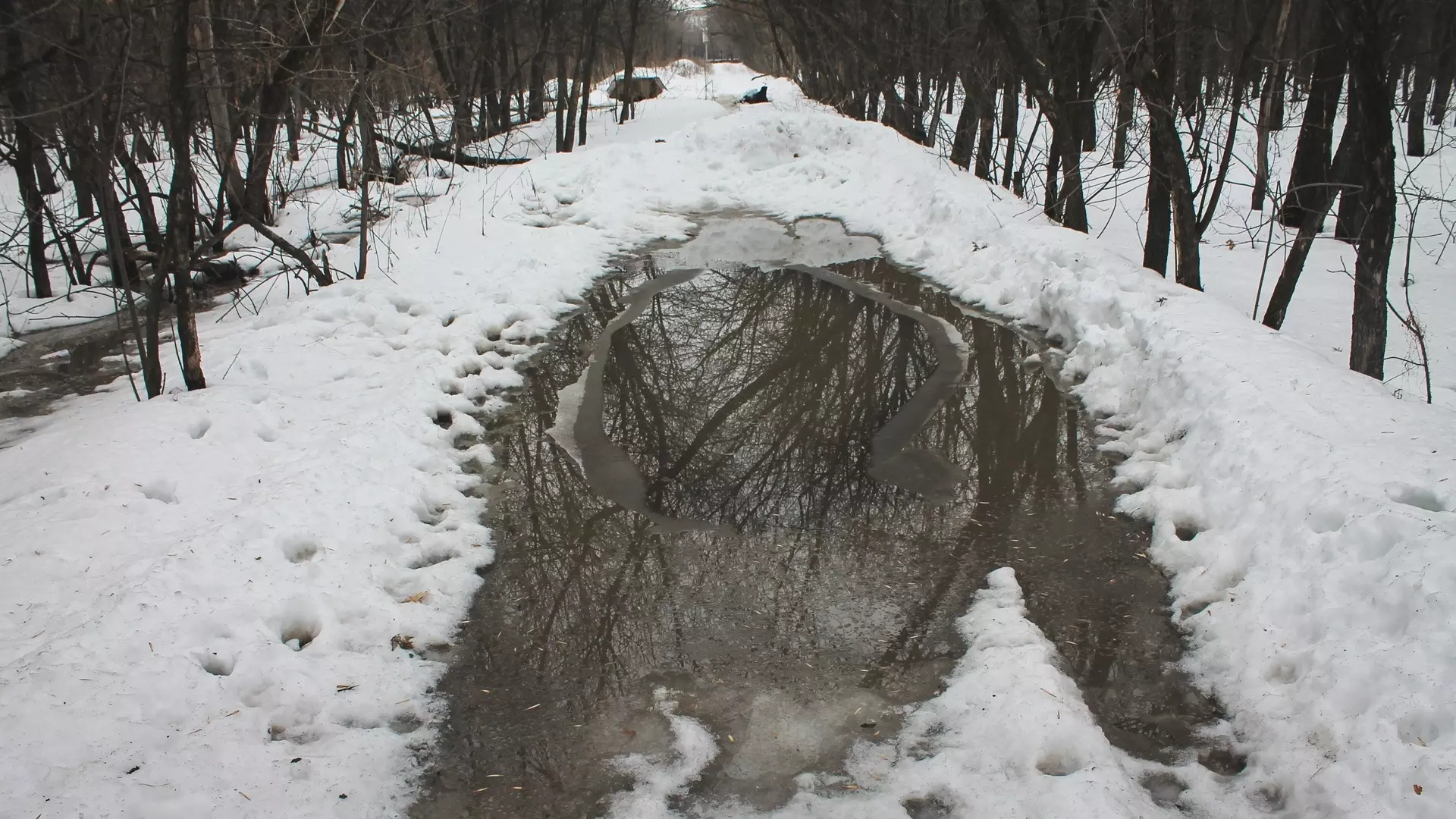 В Свердловвской области побит 143-летний температурный рекорд