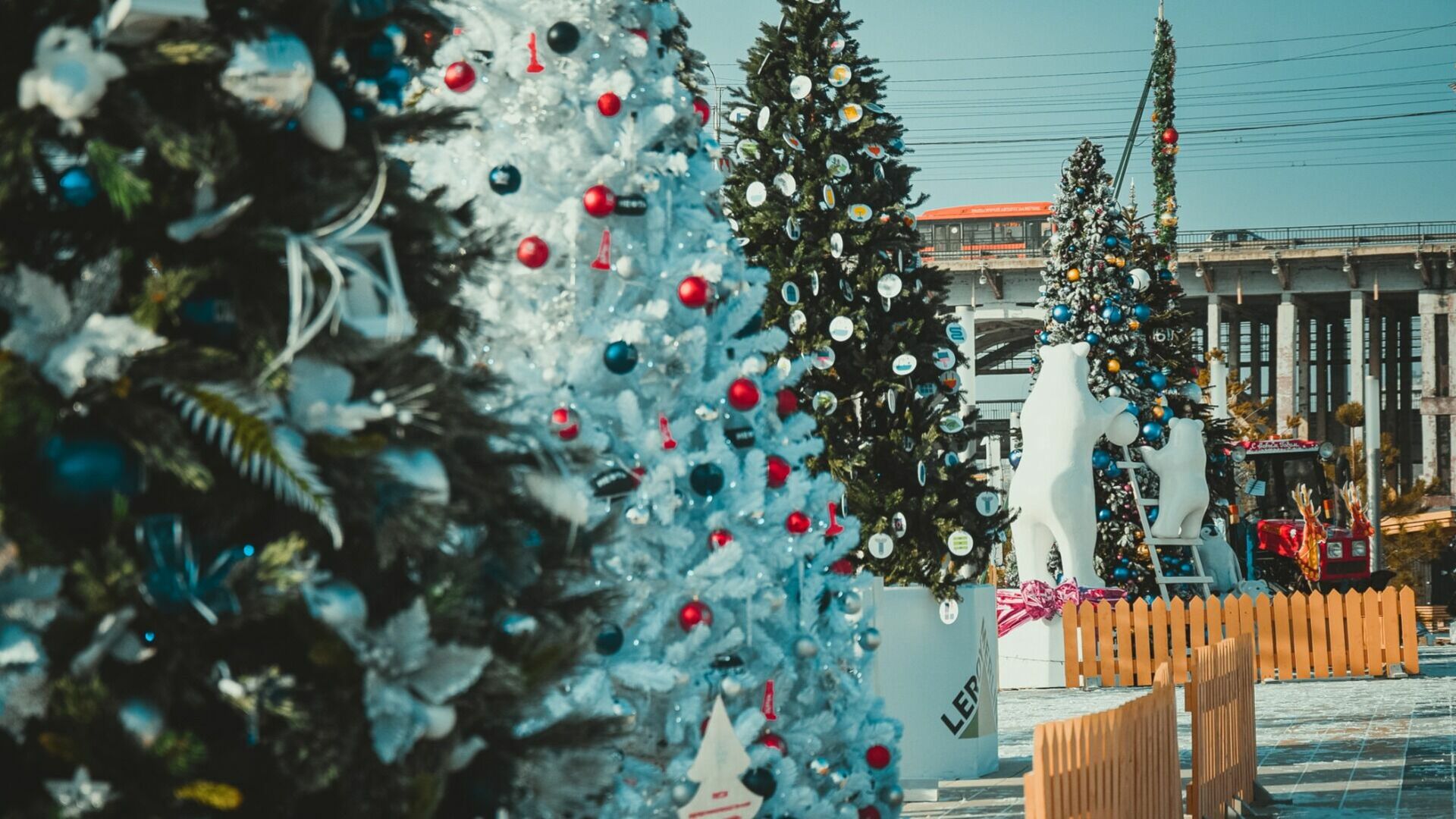 Жителям Нижнего Тагила рассказали о законном получении новогодней ели